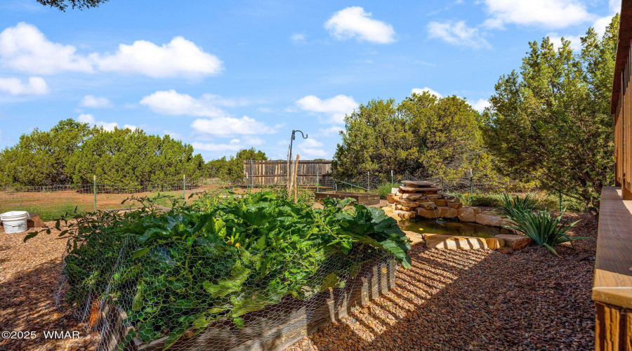3 n - Back garden, water feature