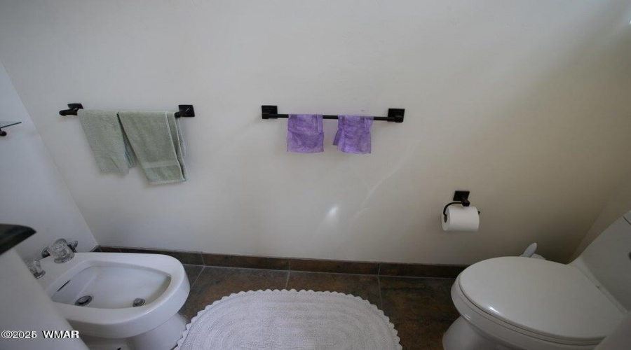 Leon master bath 2