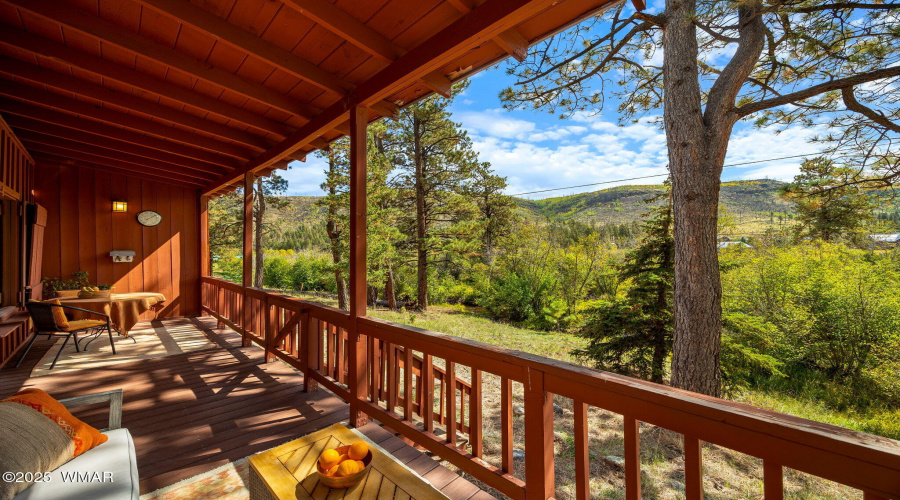 321120-Greer-AZ-19