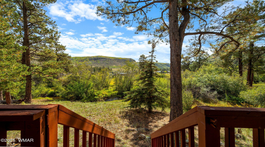 321120-Greer-AZ-20