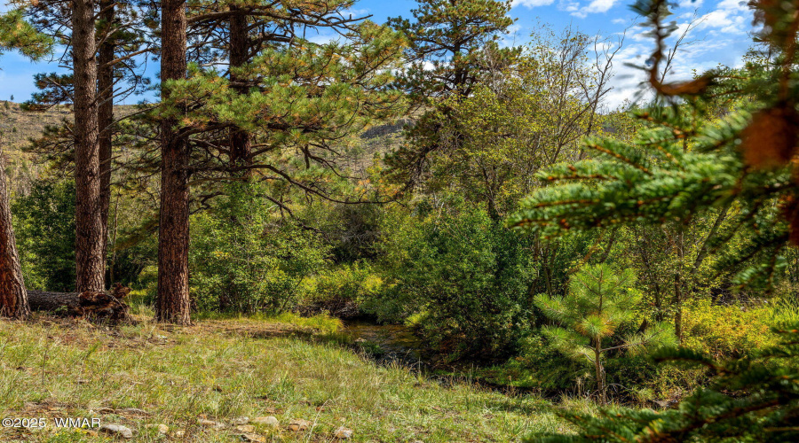 321120-Greer-AZ-21