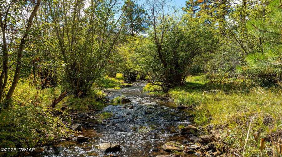 321120-Greer-AZ-22