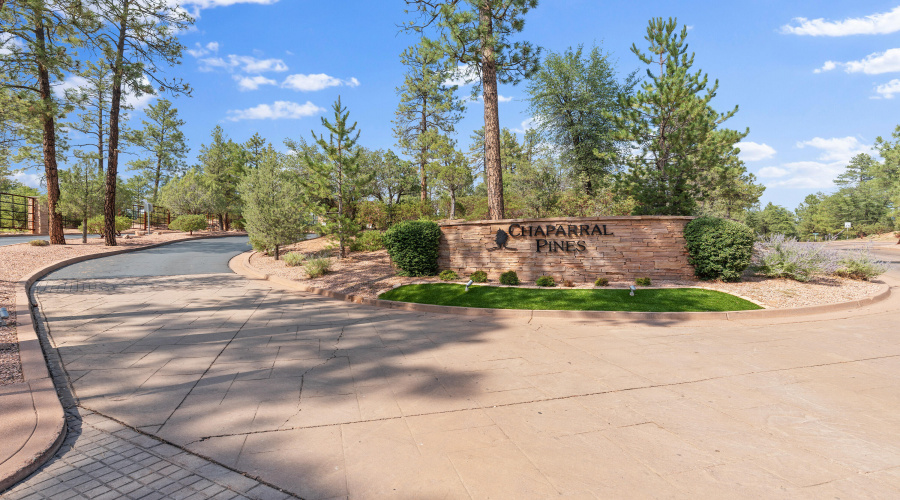 Chaparral Pines