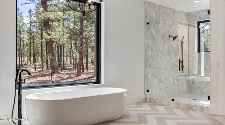 Master Bathroom Tub & Shower