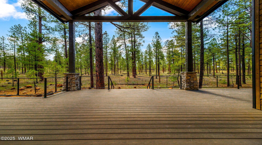 Back Deck