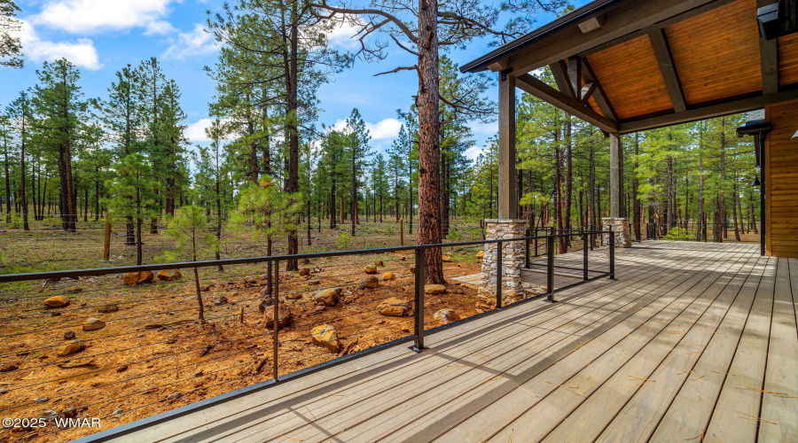 Back Deck