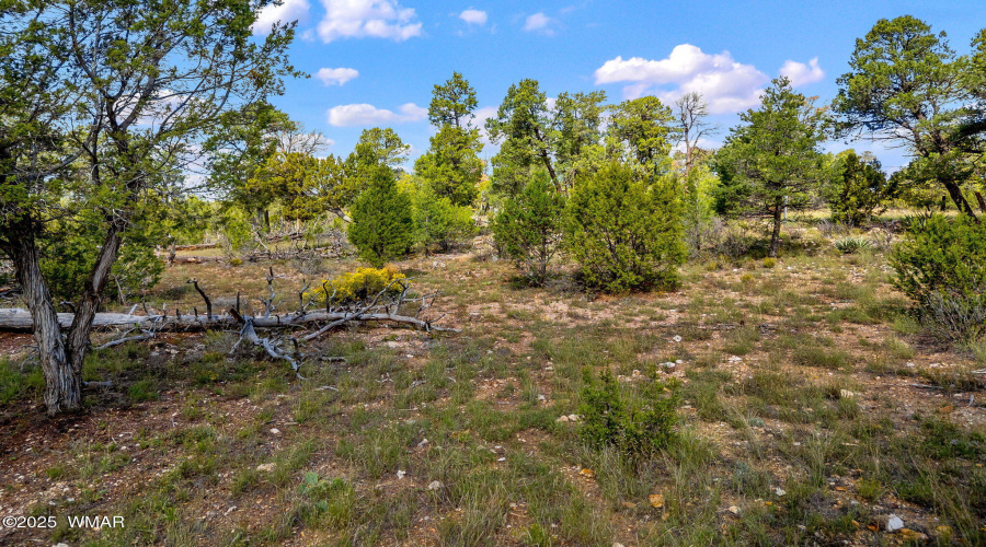 1909EChevelonRd-HeberOvergaard-AZ-12