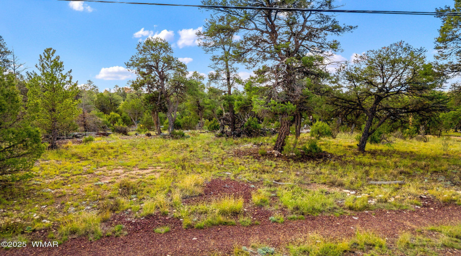 1909EChevelonRd-HeberOvergaard-AZ-13