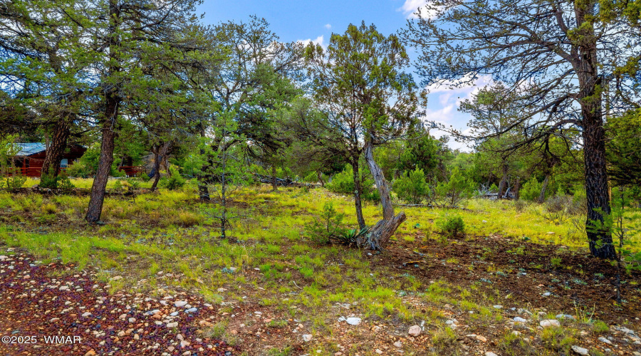 1909EChevelonRd-HeberOvergaard-AZ-14