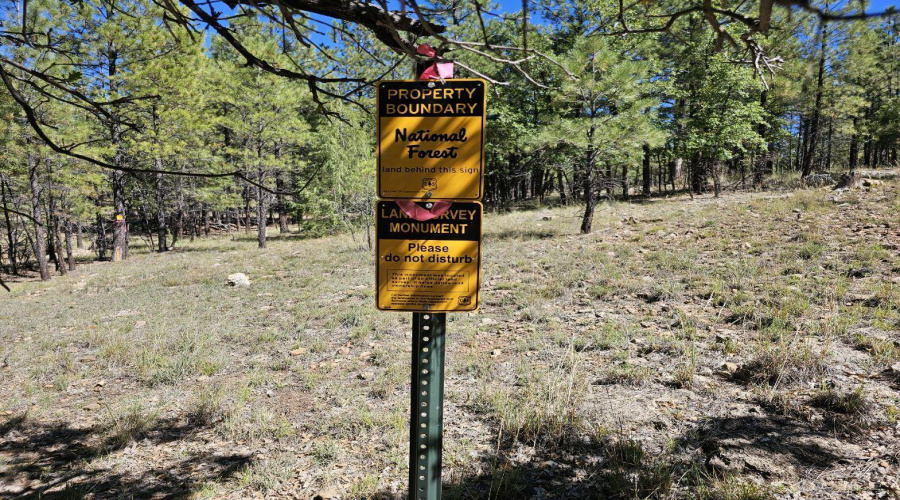 Borders Nat'l Forest