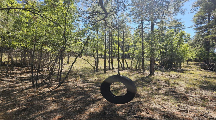 1.25 Acres