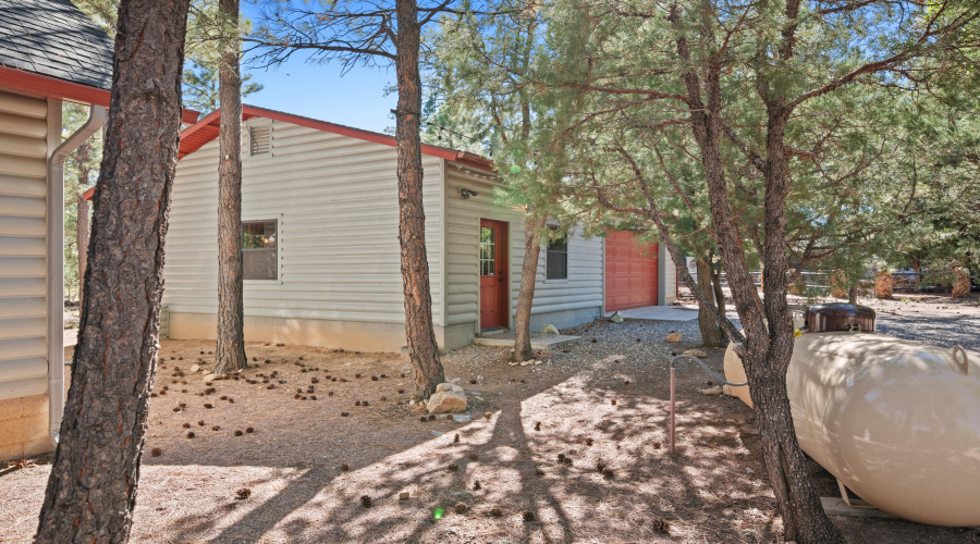 Shed & garage