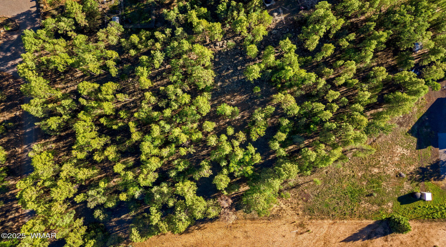 2.55 Acres of Raw Land