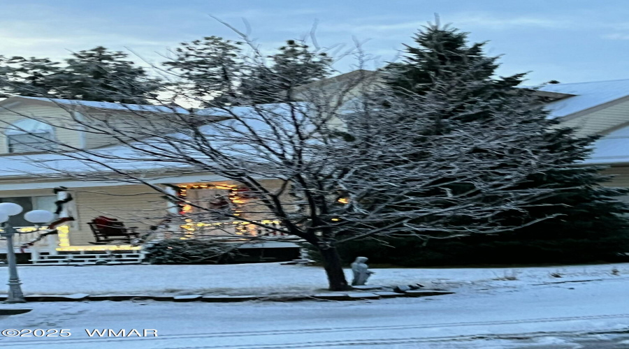 Winter Pic