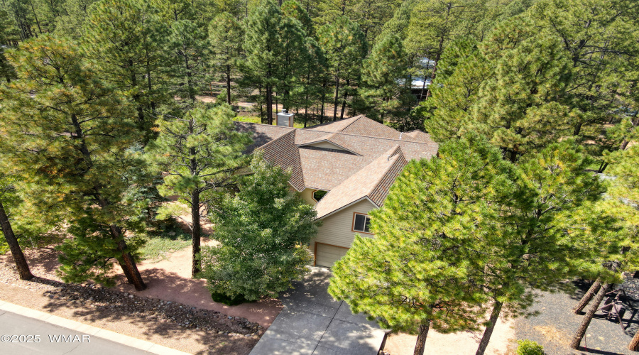 House with pines
