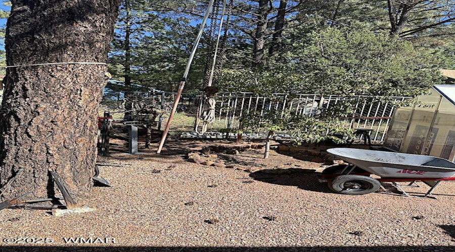 Back Yard 2