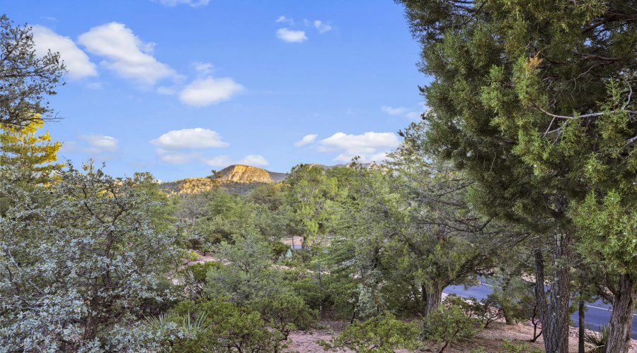 Mountain Views