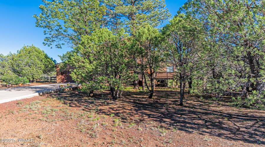 _DSC3768-HDR-Edit