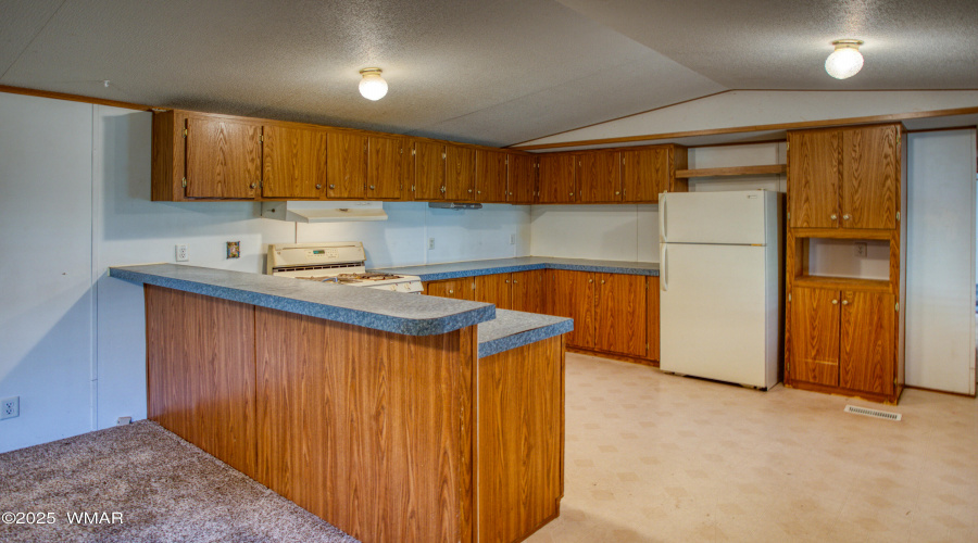 Paxmanphoto_PAX_5203