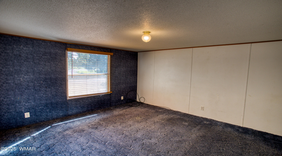 Paxmanphoto_PAX_5179