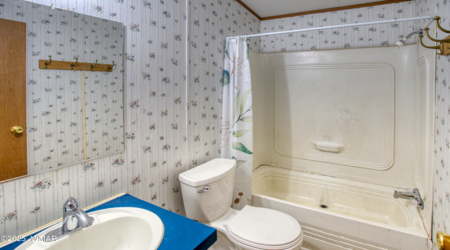 Paxmanphoto_PAX_5238