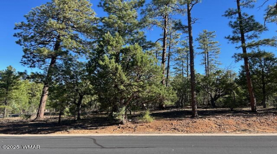 Snow Creek Lot 40
