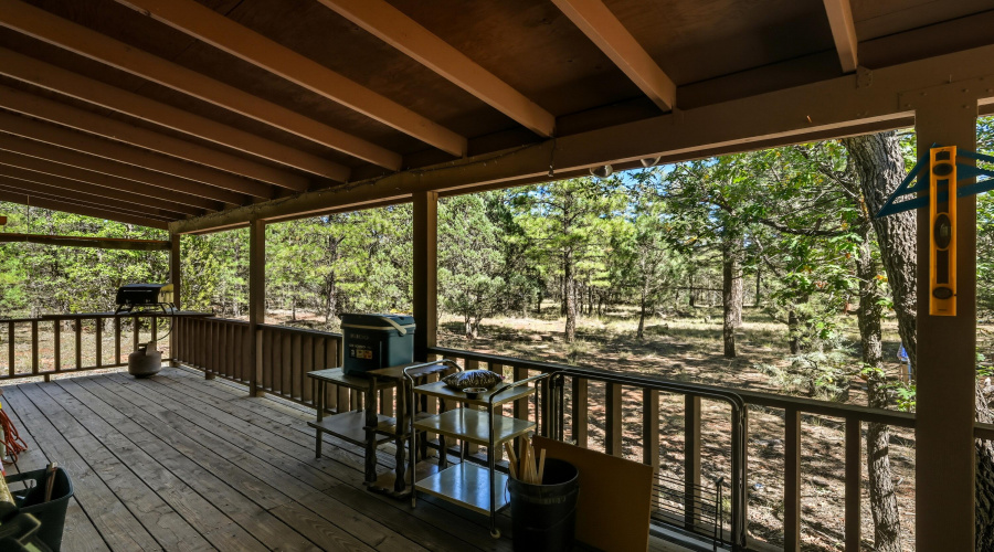 Back deck