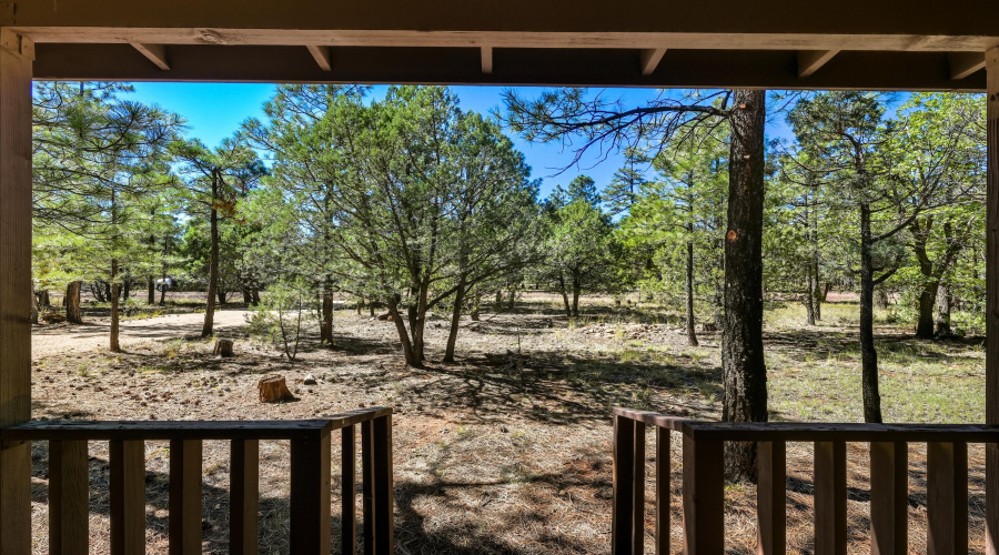 view from front deck