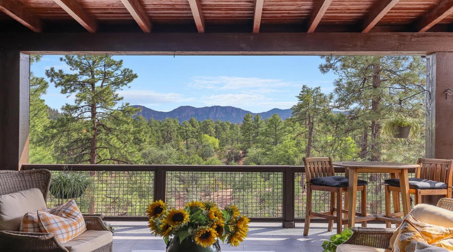 Main Level Patio