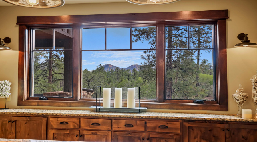 View from Wet Bar