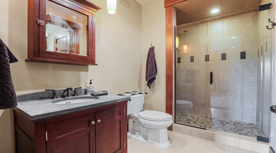 Lower Level Guest Bathroom