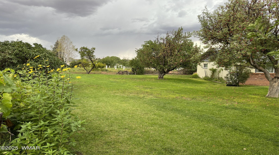 south side landscape
