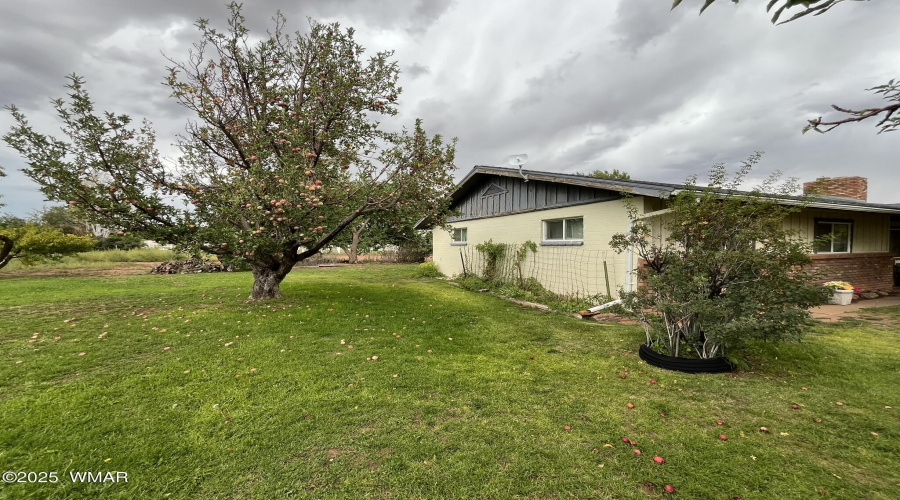 south side yard