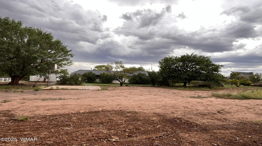 back distance