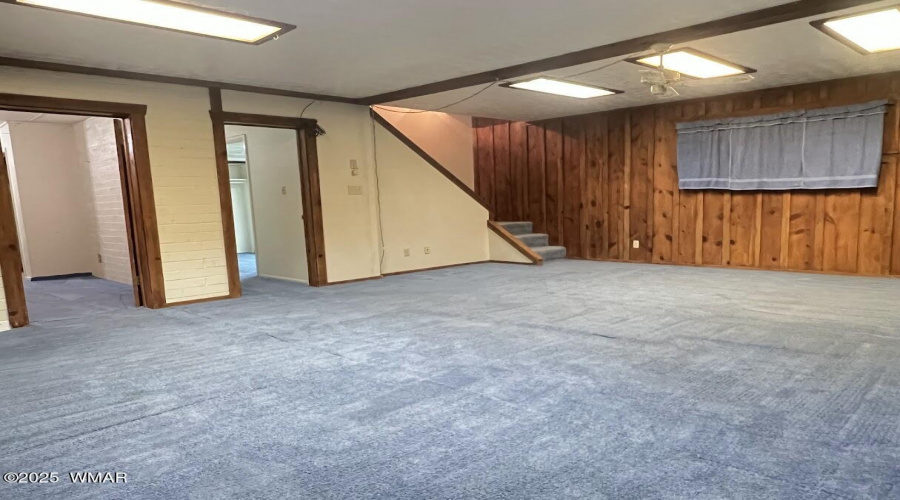 Basement 2