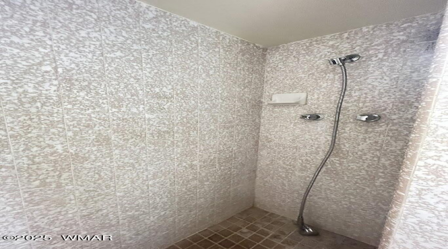 Master shower