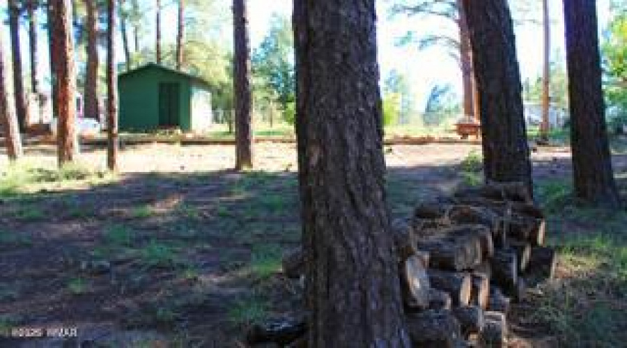 Untitled (4) copy 8