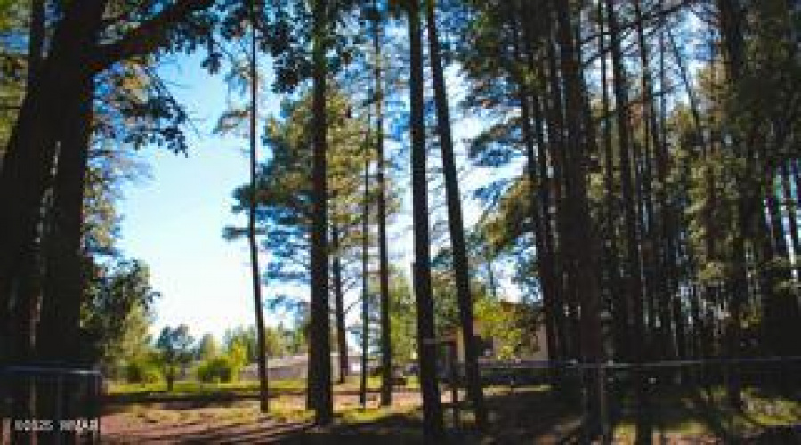 Untitled (4) copy 9