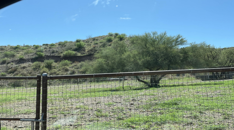 separate fenced areas