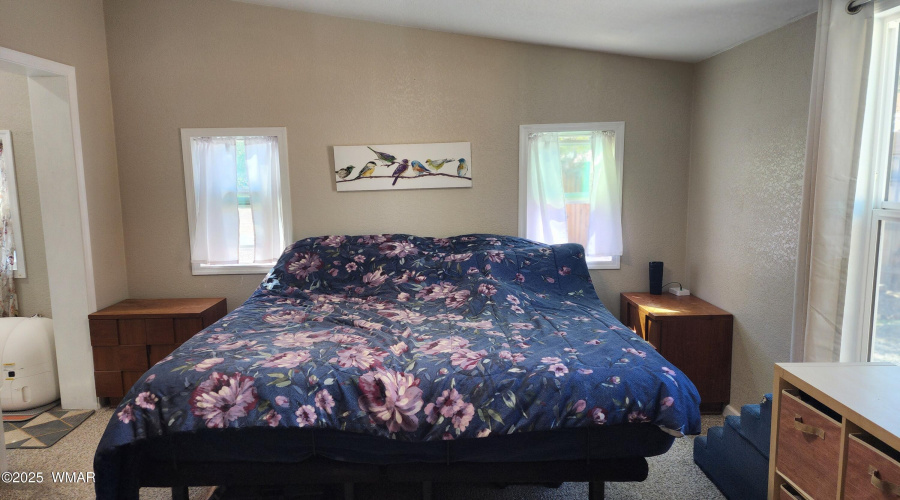 TRACEE REYNOLDS (10)