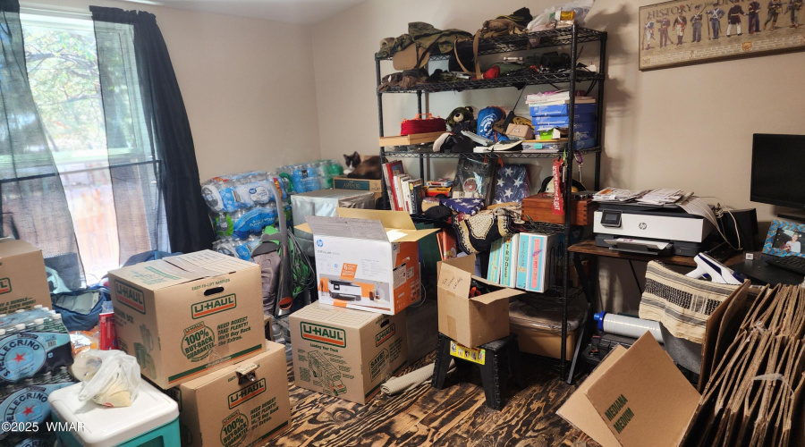 TRACEE REYNOLDS (19)