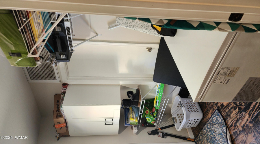 TRACEE REYNOLDS (22)