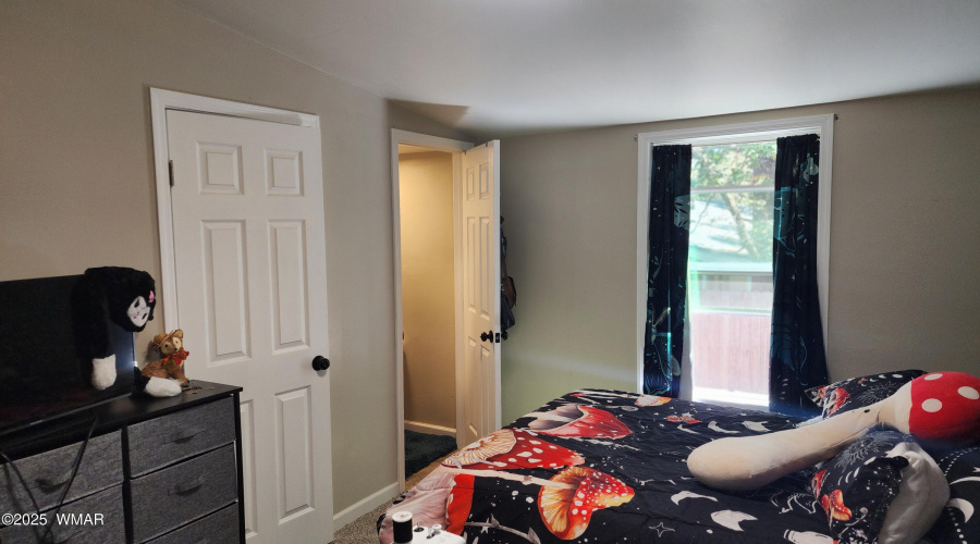 TRACEE REYNOLDS (29)