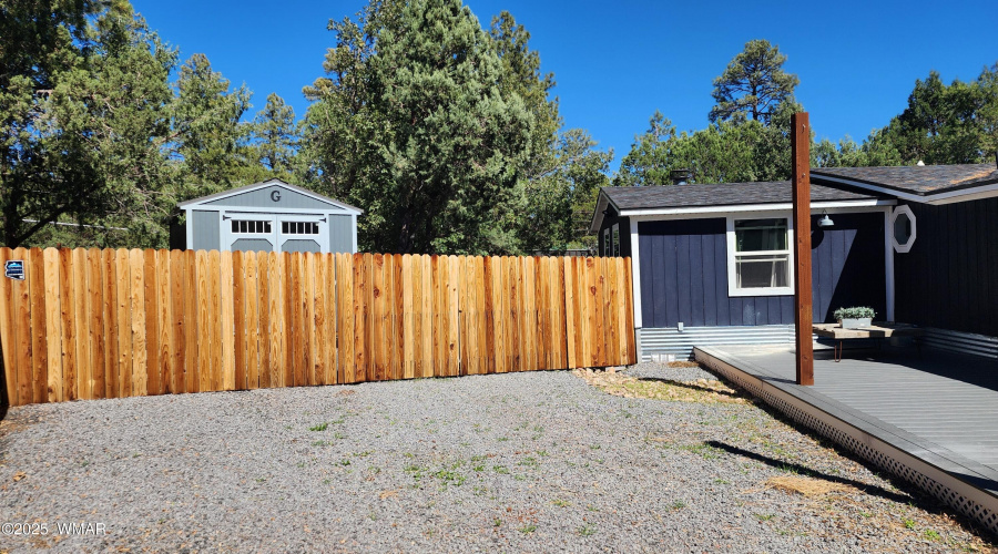 TRACEE REYNOLDS (34)