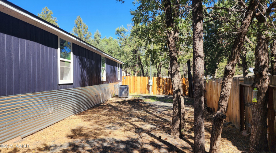 TRACEE REYNOLDS (37)