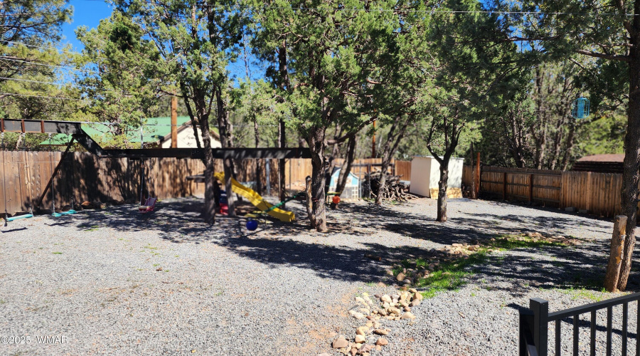 TRACEE REYNOLDS (41)