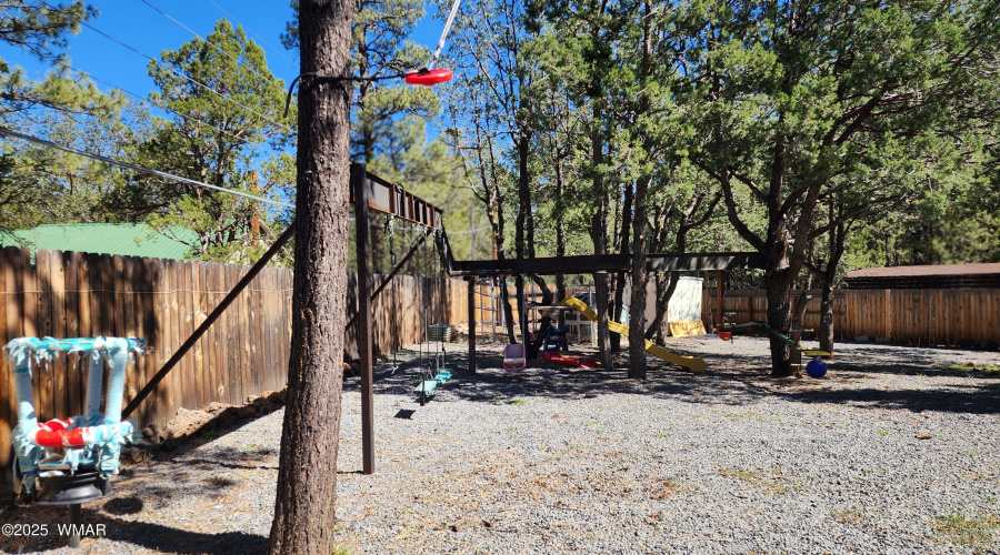 TRACEE REYNOLDS (47)