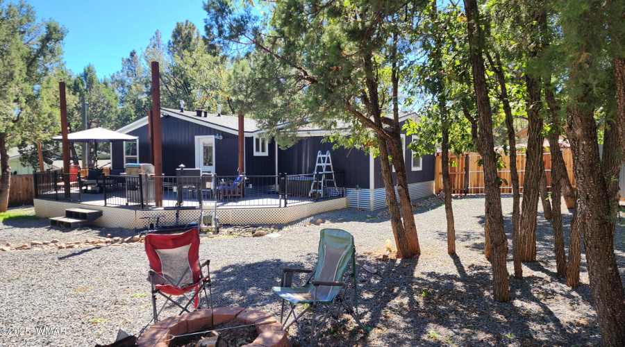 TRACEE REYNOLDS (48)