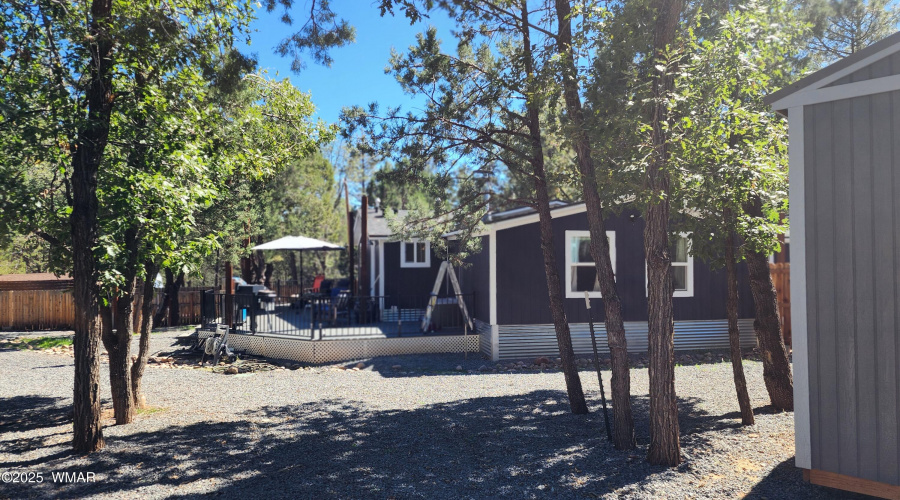 TRACEE REYNOLDS (49)