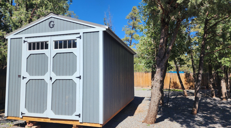 TRACEE REYNOLDS (50)